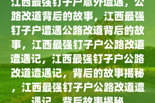 江西最强钉子户意外遭遇，公路改道背后的故事，江西最强钉子户遭遇公路改道背后的故事，江西最强钉子户公路改道遭遇记，江西最强钉子户公路改道遭遇记，背后的故事揭秘，江西最强钉子户公路改道遭遇记，背后故事揭秘