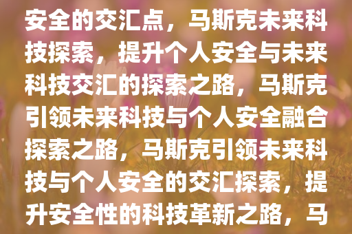 马斯克称要最大程度提升自身安全——探索未来科技与个人安全的交汇点，马斯克未来科技探索，提升个人安全与未来科技交汇的探索之路，马斯克引领未来科技与个人安全融合探索之路，马斯克引领未来科技与个人安全的交汇探索，提升安全性的科技革新之路，马斯克探索未来科技与个人安全融合之路