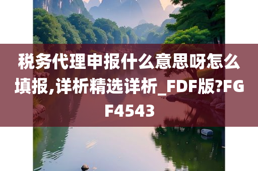 税务代理申报什么意思呀怎么填报,详析精选详析_FDF版?FGF4543