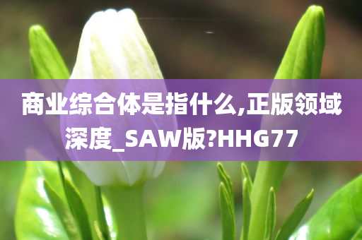 商业综合体是指什么,正版领域深度_SAW版?HHG77