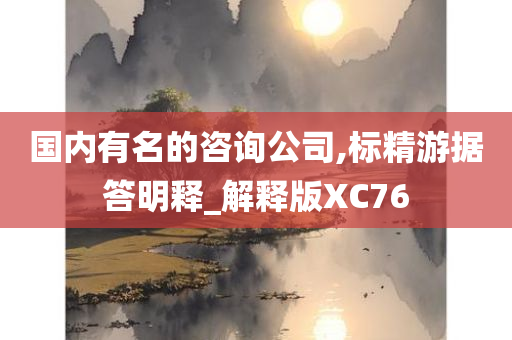 国内有名的咨询公司,标精游据答明释_解释版XC76