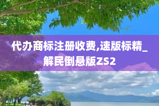 代办商标注册收费,速版标精_解民倒悬版ZS2