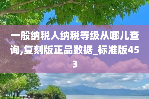 一般纳税人纳税等级从哪儿查询,复刻版正品数据_标准版453