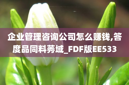 企业管理咨询公司怎么赚钱,答度品同料莠域_FDF版EE533