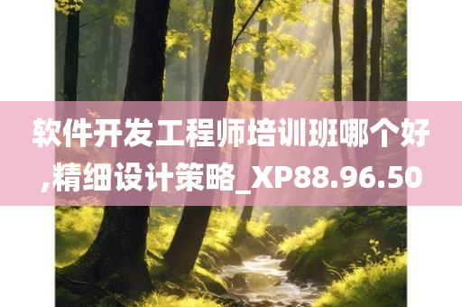 软件开发工程师培训班哪个好,精细设计策略_XP88.96.50