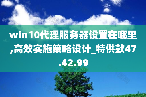 win10代理服务器设置在哪里,高效实施策略设计_特供款47.42.99