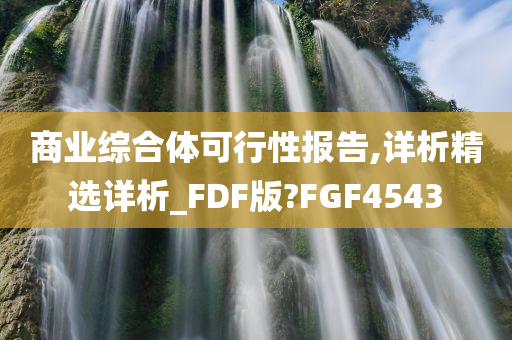 商业综合体可行性报告,详析精选详析_FDF版?FGF4543