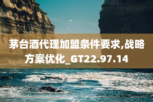 茅台酒代理加盟条件要求,战略方案优化_GT22.97.14