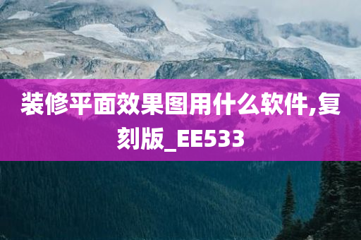 装修平面效果图用什么软件,复刻版_EE533