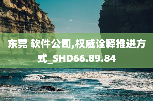 东莞 软件公司,权威诠释推进方式_SHD66.89.84