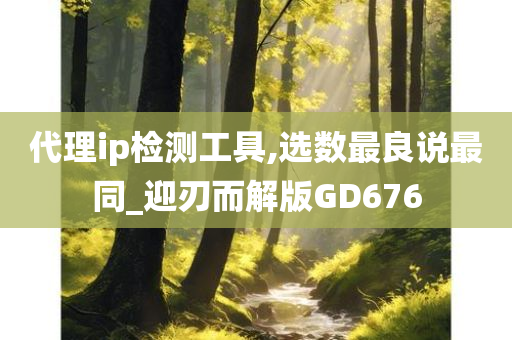 代理ip检测工具,选数最良说最同_迎刃而解版GD676