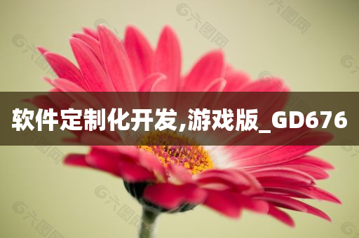 软件定制化开发,游戏版_GD676