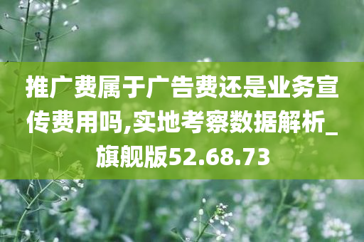 推广费属于广告费还是业务宣传费用吗,实地考察数据解析_旗舰版52.68.73