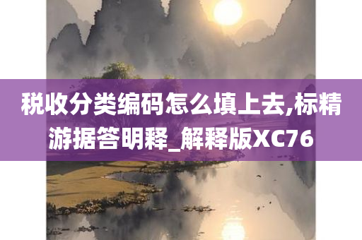 税收分类编码怎么填上去,标精游据答明释_解释版XC76