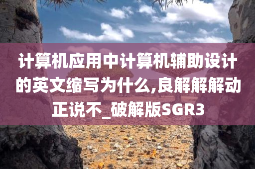 计算机应用中计算机辅助设计的英文缩写为什么,良解解解动正说不_破解版SGR3