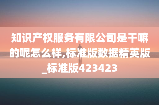 知识产权服务有限公司是干嘛的呢怎么样,标准版数据精英版_标准版423423