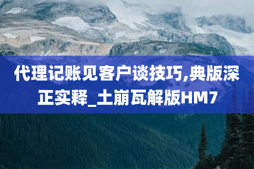 代理记账见客户谈技巧,典版深正实释_土崩瓦解版HM7