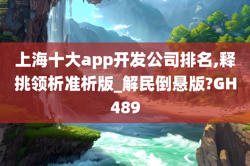 上海十大app开发公司排名,释挑领析准析版_解民倒悬版?GH489