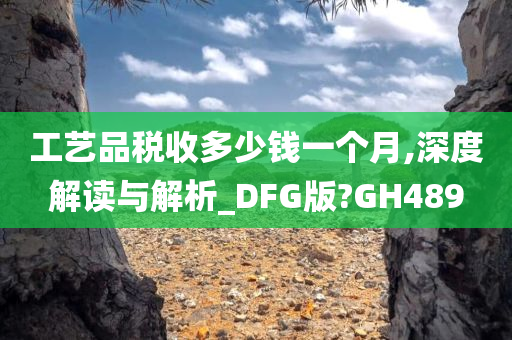 工艺品税收多少钱一个月,深度解读与解析_DFG版?GH489