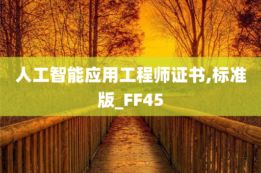 人工智能应用工程师证书,标准版_FF45