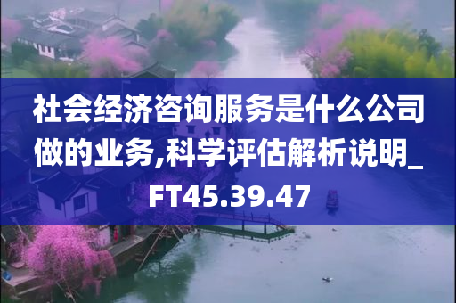 社会经济咨询服务是什么公司做的业务,科学评估解析说明_FT45.39.47