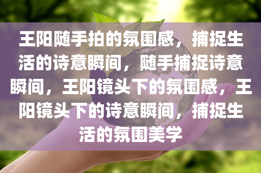 王阳随手拍的氛围感，捕捉生活的诗意瞬间，随手捕捉诗意瞬间，王阳镜头下的氛围感，王阳镜头下的诗意瞬间，捕捉生活的氛围美学