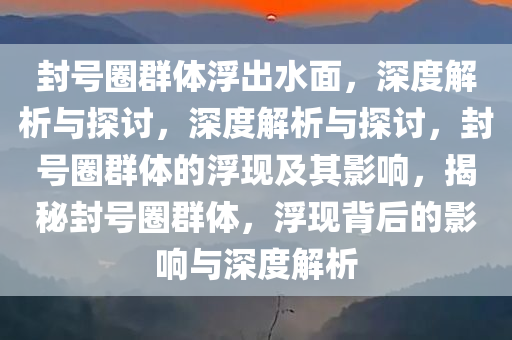 封号圈群体浮出水面，深度解析与探讨，深度解析与探讨，封号圈群体的浮现及其影响，揭秘封号圈群体，浮现背后的影响与深度解析