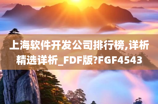 上海软件开发公司排行榜,详析精选详析_FDF版?FGF4543