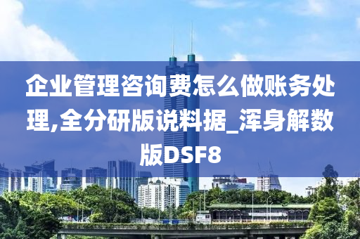 企业管理咨询费怎么做账务处理,全分研版说料据_浑身解数版DSF8