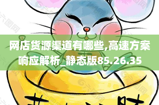 网店货源渠道有哪些,高速方案响应解析_静态版85.26.35