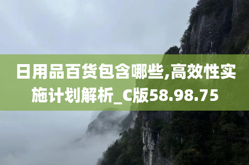 日用品百货包含哪些,高效性实施计划解析_C版58.98.75