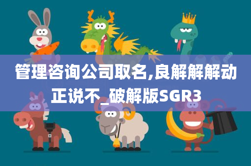 管理咨询公司取名,良解解解动正说不_破解版SGR3