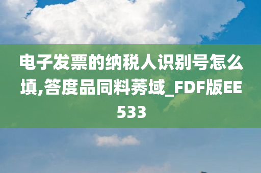 电子发票的纳税人识别号怎么填,答度品同料莠域_FDF版EE533