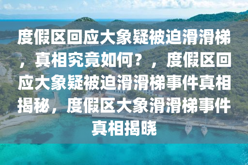 度假区回应大象疑被迫滑滑梯，真相究竟如何？，度假区回应大象疑被迫滑滑梯事件真相揭秘，度假区大象滑滑梯事件真相揭晓