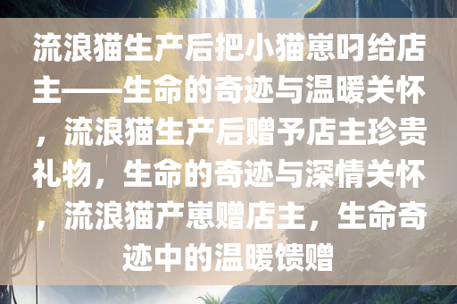 流浪猫生产后把小猫崽叼给店主——生命的奇迹与温暖关怀，流浪猫生产后赠予店主珍贵礼物，生命的奇迹与深情关怀，流浪猫产崽赠店主，生命奇迹中的温暖馈赠