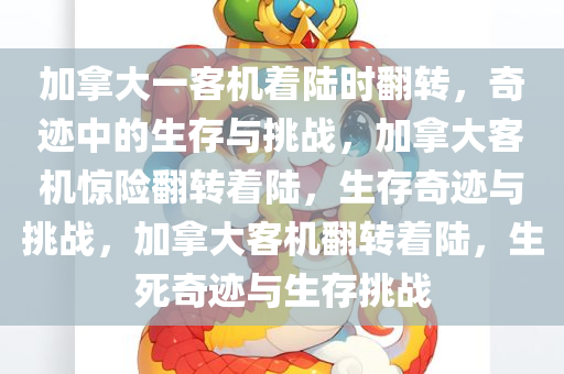 加拿大一客机着陆时翻转，奇迹中的生存与挑战，加拿大客机惊险翻转着陆，生存奇迹与挑战，加拿大客机翻转着陆，生死奇迹与生存挑战