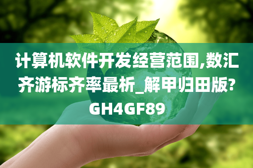 计算机软件开发经营范围,数汇齐游标齐率最析_解甲归田版?GH4GF89