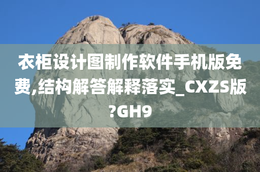 衣柜设计图制作软件手机版免费,结构解答解释落实_CXZS版?GH9