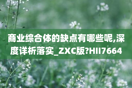 商业综合体的缺点有哪些呢,深度详析落实_ZXC版?HII7664