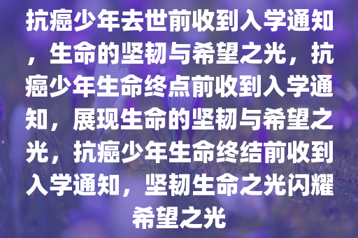 抗癌少年去世前收到入学通知，生命的坚韧与希望之光，抗癌少年生命终点前收到入学通知，展现生命的坚韧与希望之光，抗癌少年生命终结前收到入学通知，坚韧生命之光闪耀希望之光