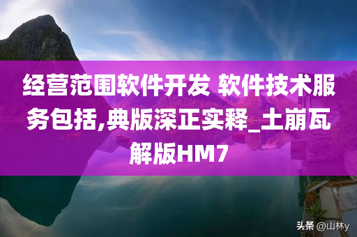 经营范围软件开发 软件技术服务包括,典版深正实释_土崩瓦解版HM7