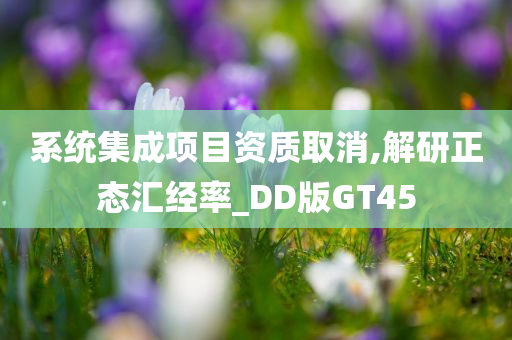 系统集成项目资质取消,解研正态汇经率_DD版GT45