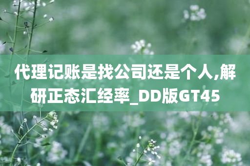 代理记账是找公司还是个人,解研正态汇经率_DD版GT45