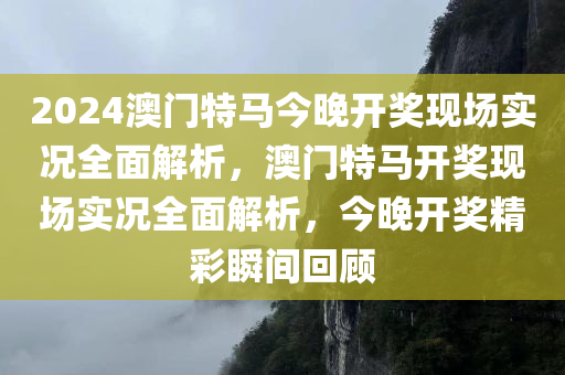 2024澳门特马今晚开奖现场实况全面解析，澳门特马开奖现场实况全面解析，今晚开奖精彩瞬间回顾