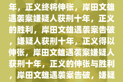 岸田文雄遇袭案嫌疑人获刑十年，正义终将伸张，岸田文雄遇袭案嫌疑人获刑十年，正义的胜利，岸田文雄遇袭案告破，嫌疑人获刑十年，正义得以伸张，岸田文雄遇袭案嫌疑人获刑十年，正义的伸张与胜利，岸田文雄遇袭案告破，嫌疑人获刑十年，正义胜利彰显