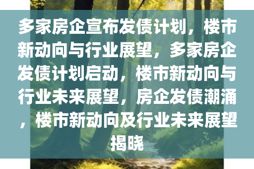 多家房企宣布发债计划，楼市新动向与行业展望，多家房企发债计划启动，楼市新动向与行业未来展望，房企发债潮涌，楼市新动向及行业未来展望揭晓