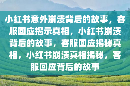 小红书意外崩溃背后的故事，客服回应揭示真相，小红书崩溃背后的故事，客服回应揭秘真相，小红书崩溃真相揭秘，客服回应背后的故事