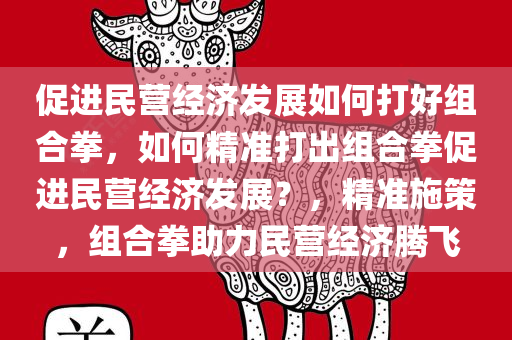 促进民营经济发展如何打好组合拳，如何精准打出组合拳促进民营经济发展？，精准施策，组合拳助力民营经济腾飞