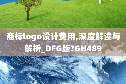 商标logo设计费用,深度解读与解析_DFG版?GH489