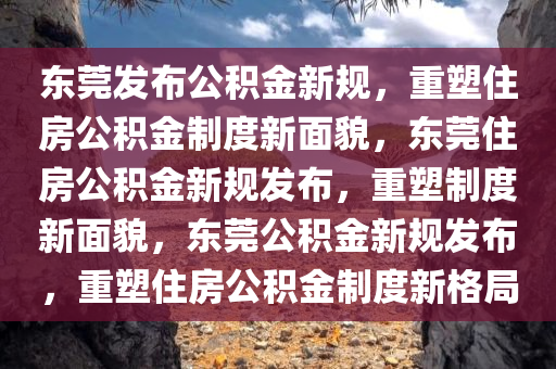 东莞发布公积金新规，重塑住房公积金制度新面貌，东莞住房公积金新规发布，重塑制度新面貌，东莞公积金新规发布，重塑住房公积金制度新格局